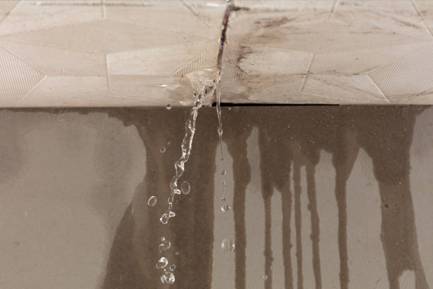 Professional Structural Drying technician working in Union City, NJ